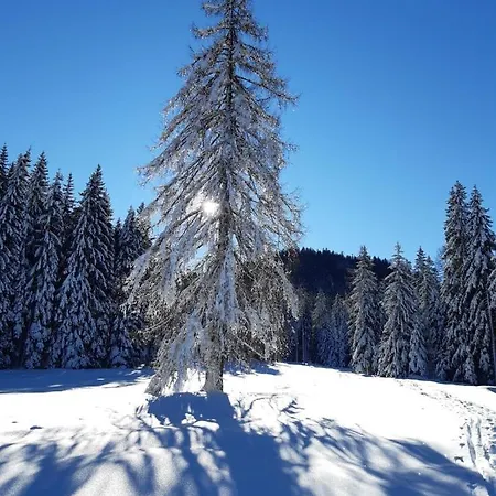 דירה In Kaernten Naehe Millstaettersee Fresach