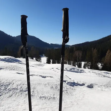 In Kaernten Naehe Millstaettersee *