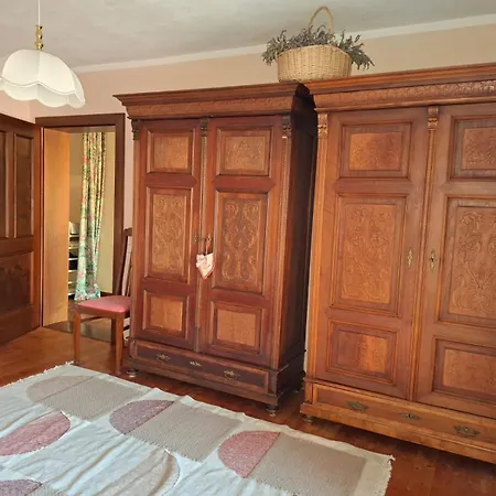 Appartement In Kaernten Naehe Millstaettersee