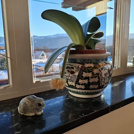 In Kaernten Naehe Millstaettersee Apartamento Fresach