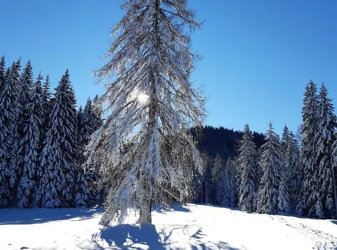 Lejlighed In Kaernten Naehe Millstaettersee Fresach
