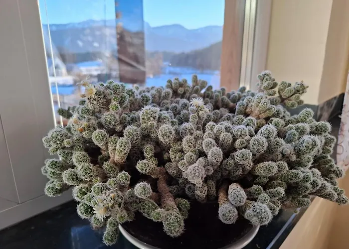 In Kaernten Naehe Millstaettersee Apartman Fresach